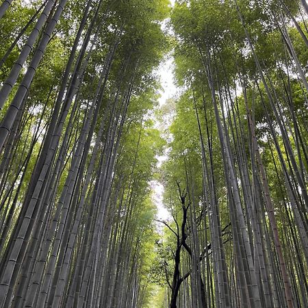 嵐山 天龍の宿 駐車無料 一棟貸切 最大5人 Dragon Legend Arashiyama Central Private Rare Modern Villa Free Parking Max 5Ppl Shimosaga ภายนอก รูปภาพ