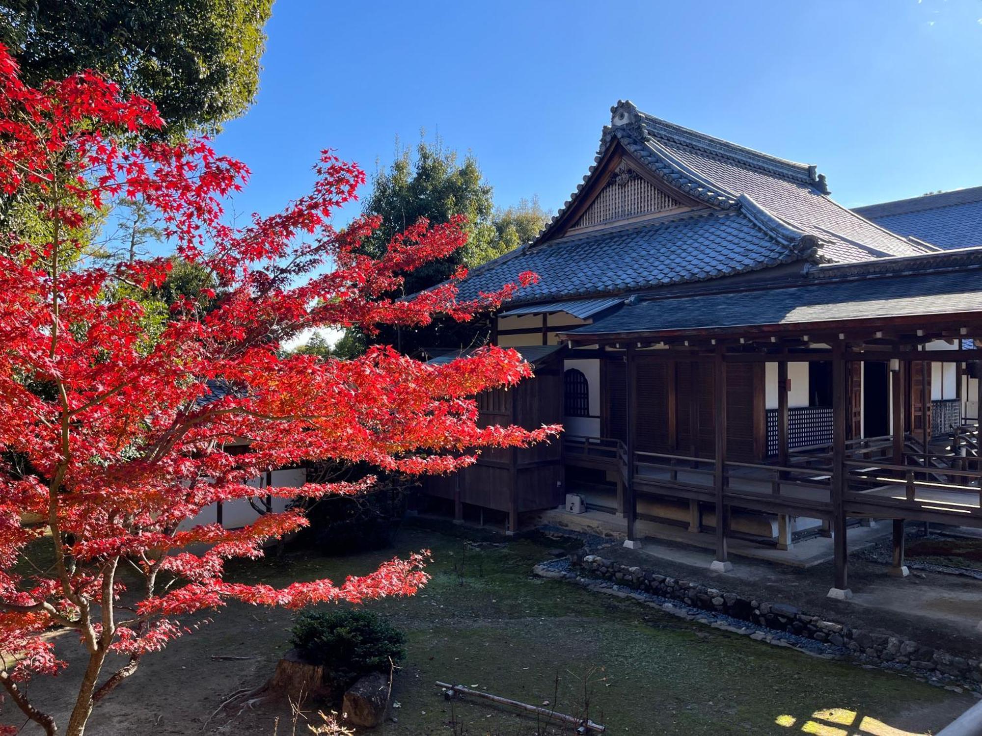 嵐山 天龍の宿 駐車無料 一棟貸切 最大5人 Dragon Legend Arashiyama Central Private Rare Modern Villa Free Parking Max 5Ppl Shimosaga ภายนอก รูปภาพ