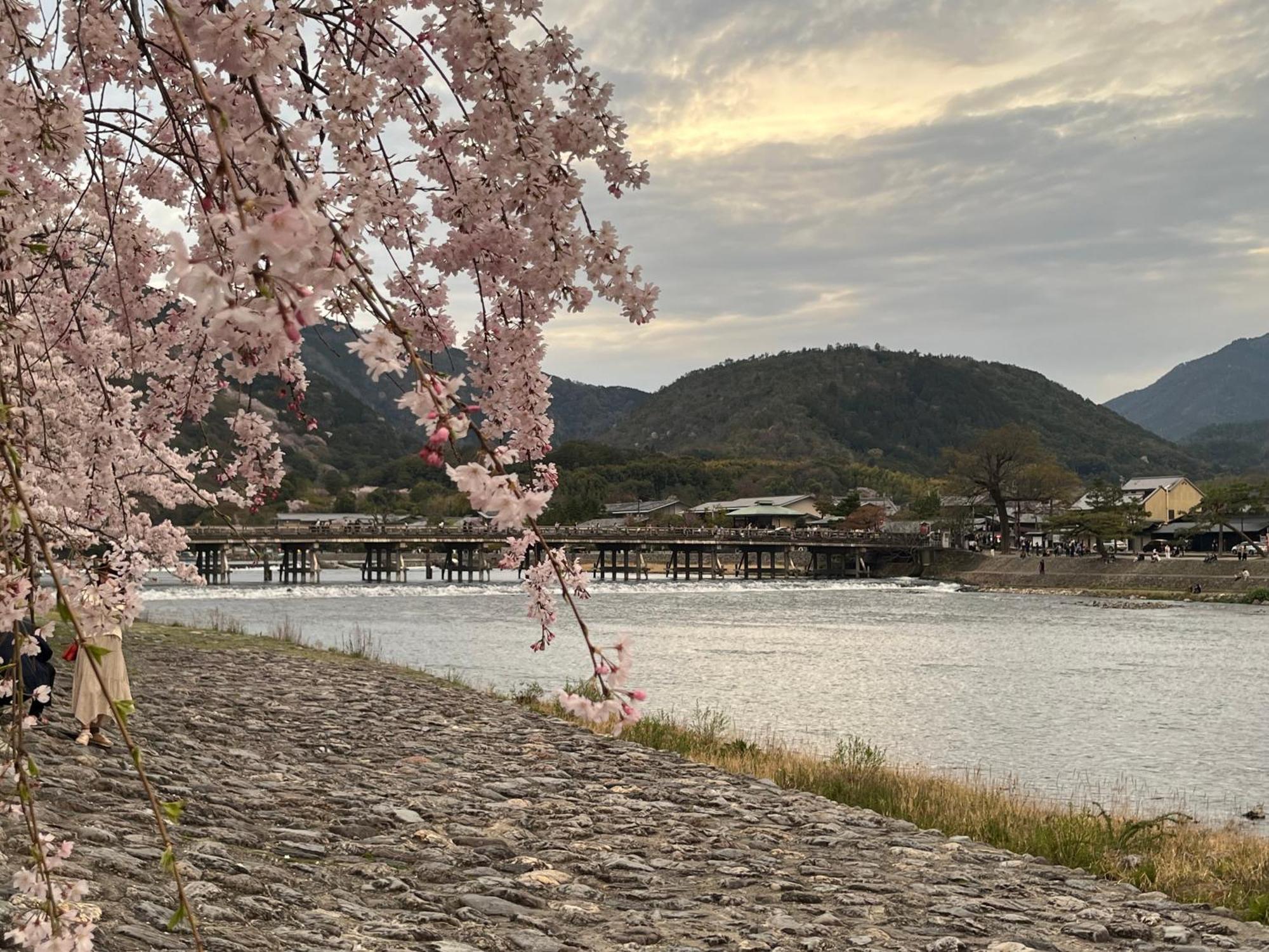 嵐山 天龍の宿 駐車無料 一棟貸切 最大5人 Dragon Legend Arashiyama Central Private Rare Modern Villa Free Parking Max 5Ppl Shimosaga ภายนอก รูปภาพ